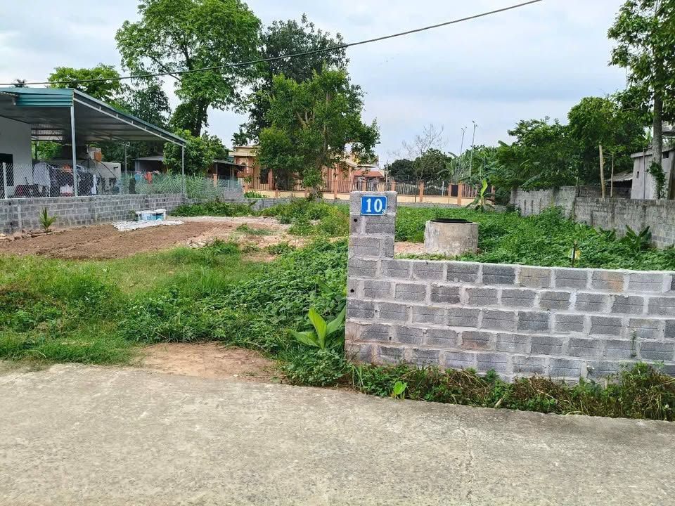 Đất nền Khánh Thượng, Ba Vì 728m² giá 2 tỷ - Tiềm năng sinh lời cao!