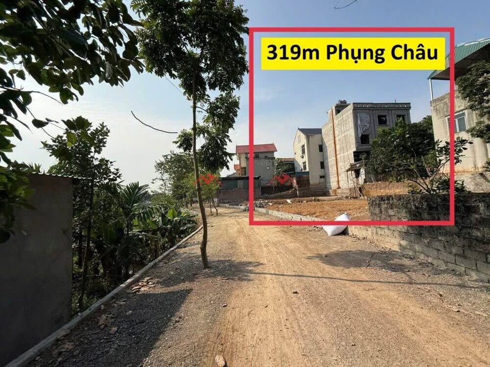 Đất thổ cư Phụng Châu 319m² giá thỏa thuận - Sổ đỏ chính chủ, ô tô vào tận nơi!