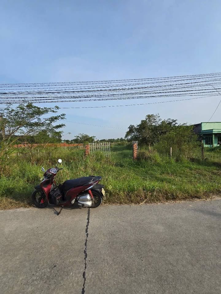 Đất nền ấp Nhơn Hòa, xã Mỹ Hạnh, 250m² giá 1.29 tỷ - Cơ hội đầu tư hấp dẫn!