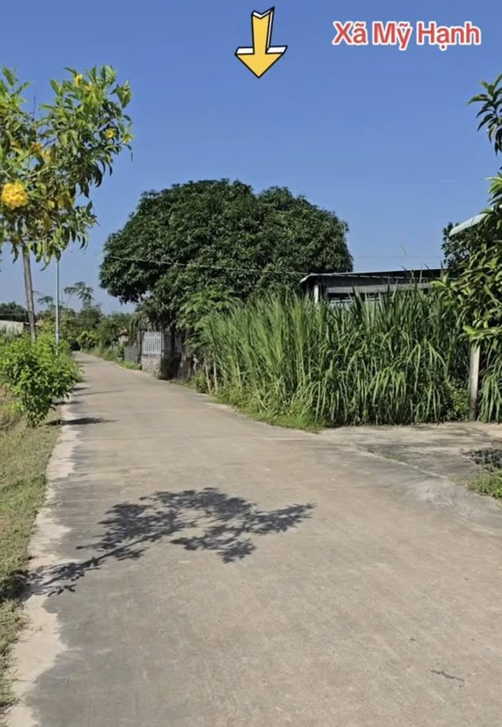 Đất nền ấp Giồng Lớn, xã Mỹ Hạnh, 145m² giá 1.1 tỷ - Cơ hội đầu tư hấp dẫn!