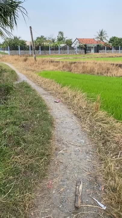 Đất nền Hòa Khánh Đông Đức Hòa 1273m² giá chỉ 1.5 tỷ - Cơ hội đầu tư hấp dẫn!