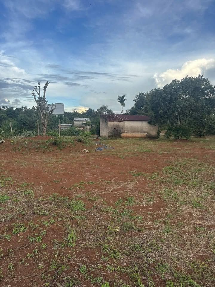 Đất thổ cư 400m² hẻm Hoàng Quốc Việt, Buôn Hồ - 6.199 tỷ - Sổ hồng chính chủ, thương lượng ngay!