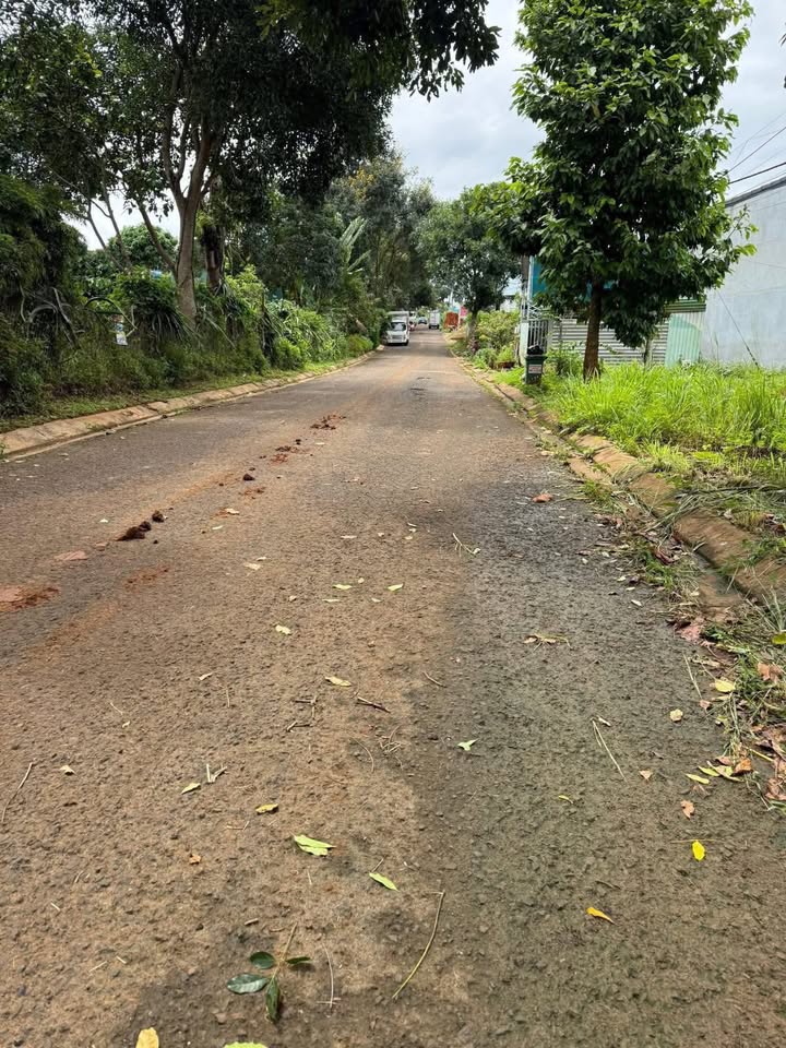 Đất nền Đường Hoàng Diệu Đắk Mil 290m² giá 2.9 tỷ - Cơ hội đầu tư sinh lời!