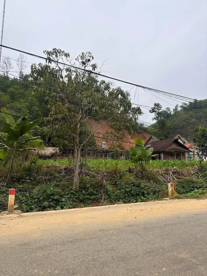 Đất nền khu Đình Nưa, xã Tân Lập, huyện Thanh Sơn 304m² - Cơ hội đầu tư tuyệt vời!