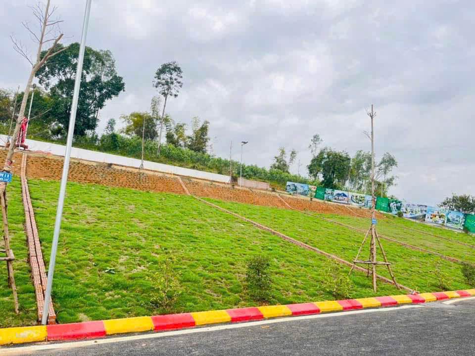 Đất nền Phú Cát, Quốc Oai 186m² giá 3 tỷ - Sổ hồng chính chủ, vị trí đắc địa!