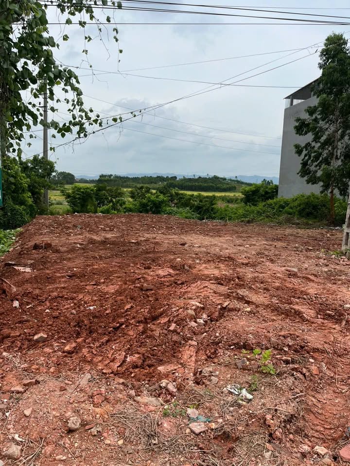 Đất kinh doanh mặt tiền 8,5m tại Lục Nam, Bắc Giang - Diện tích 185m² chỉ 8 tỷ!