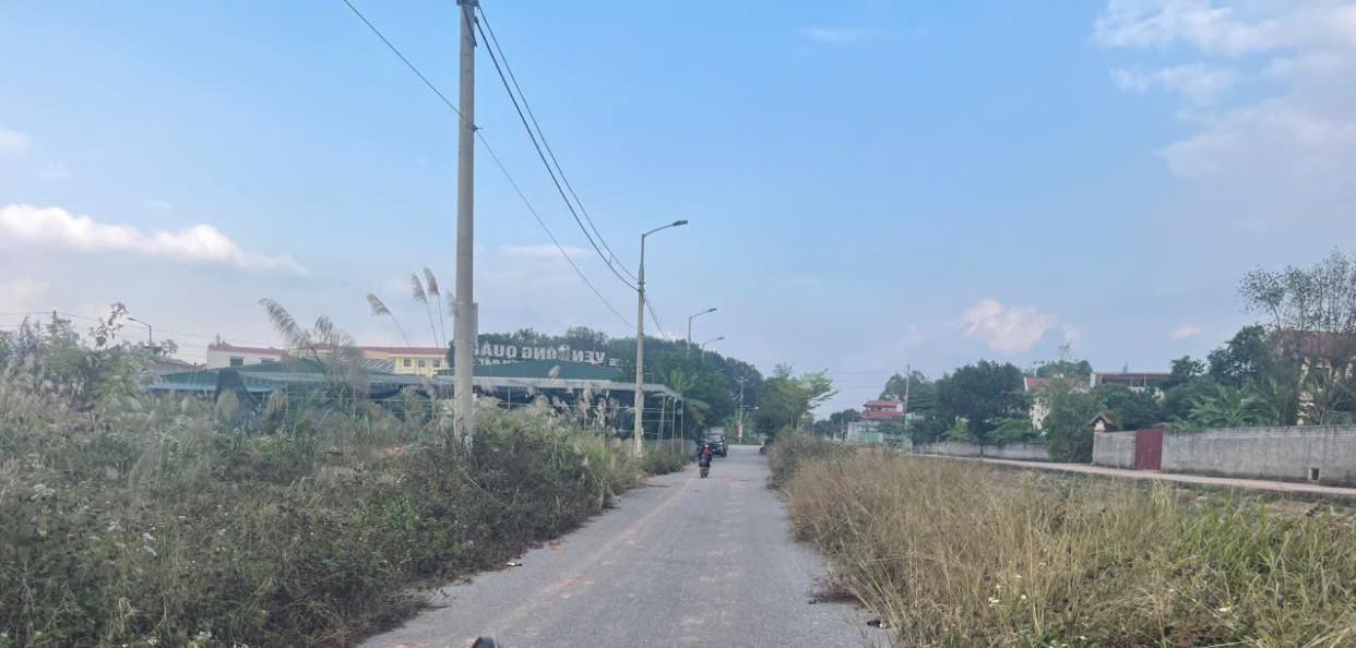 Đất nền Yên Mỹ Lạng Giang 140m² giá 200 triệu - Sổ đỏ chính chủ sẵn sàng giao dịch!