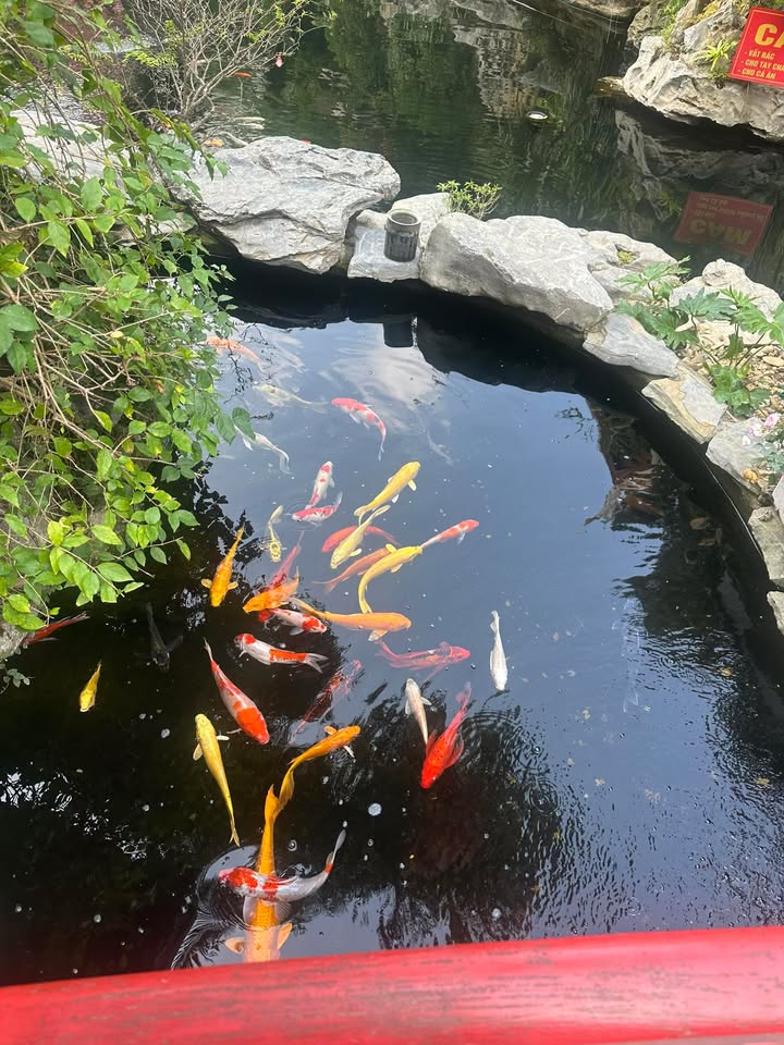 Lô đất Quang Châu, Việt Yên 80m² giá tốt - Không lỗi phong thủy!