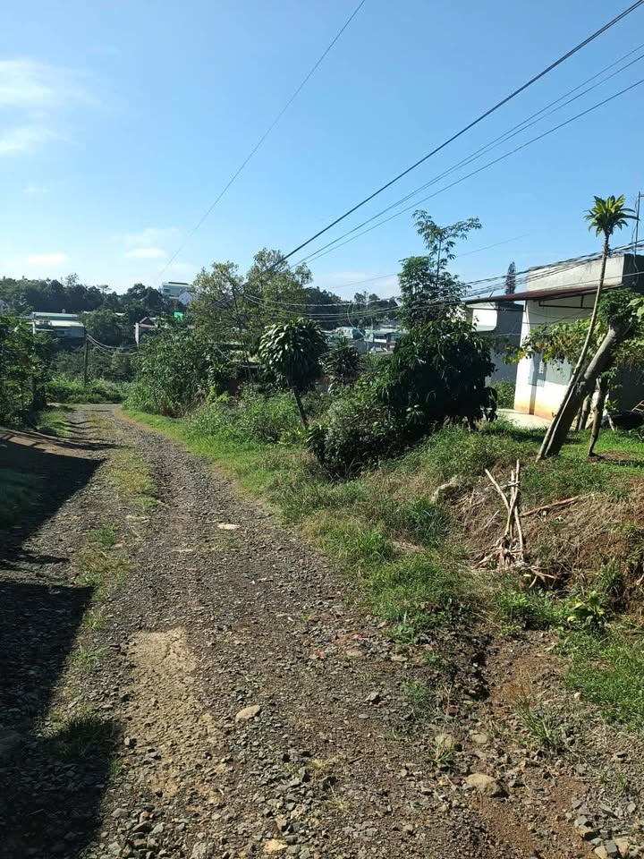 Đất thổ cư 800m² tại Hòa Ninh, Di Linh giá chỉ 1.4 tỷ - Sổ đỏ chính chủ!