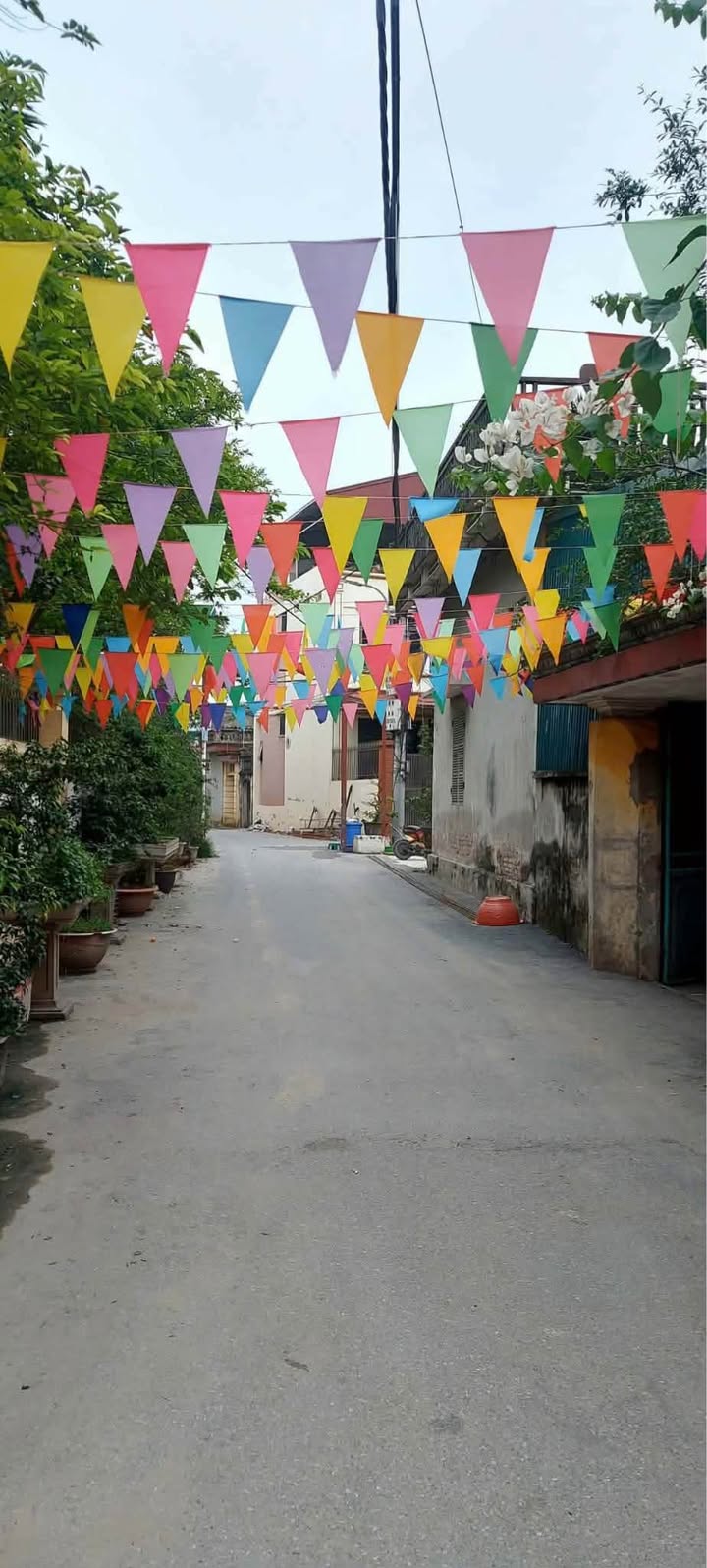 Đất nền Đức Thượng Hoài Đức 48.3m² giá 4.1 tỷ - Sổ đỏ chính chủ, vị trí đẹp!