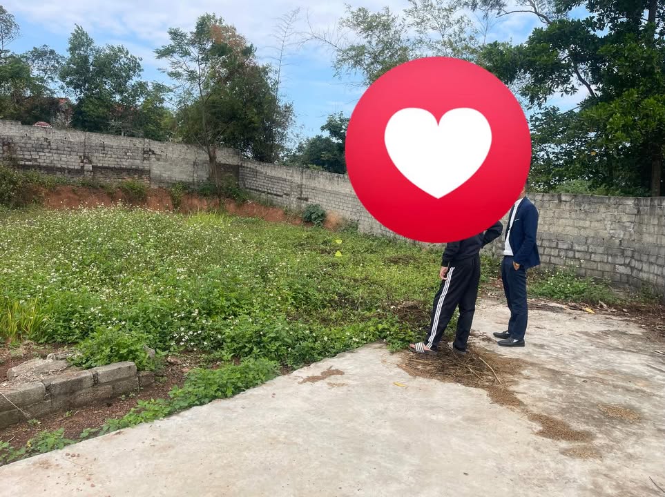 Đất nền Tân Hưng Lạng Giang 136m² - Cơ hội đầu tư hiếm có!