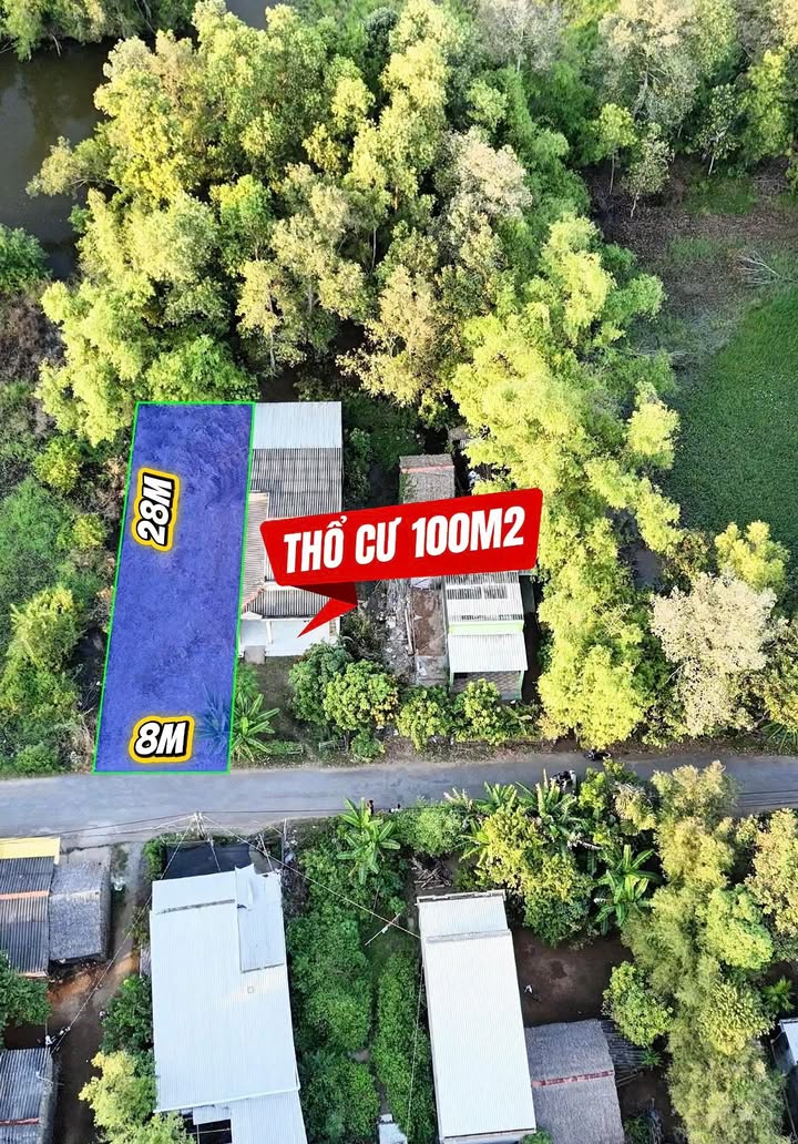 Đất thổ cư 100m² xã Ngũ Lạc, huyện Duyên Hải, Trà Vinh - Giá 7.5 tỷ, mặt tiền đường nhựa