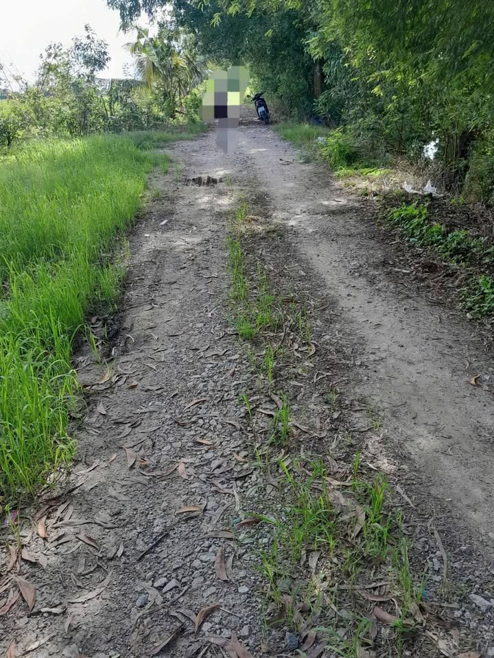 Đất nông nghiệp Cần Đăng Châu Thành 15.000m² giá 1.9 tỷ - Mặt tiền 60m, xe tải tới nơi!