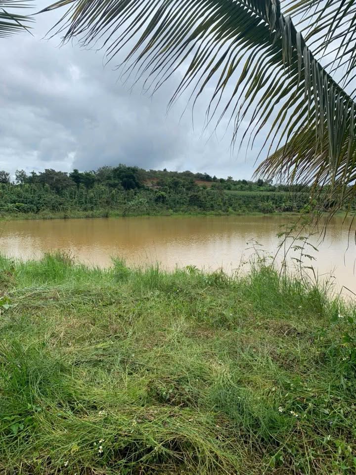 Đất vườn 3,5 sào tại Phường Đông Gia Nghĩa - Giá chỉ 2.6 tỷ VND, view hồ tuyệt đẹp!