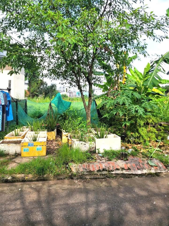 Bán đất hẻm 83 đường Số 6, Long Trường 80.5m² - Gần UBND phường, giá tốt thương lượng!