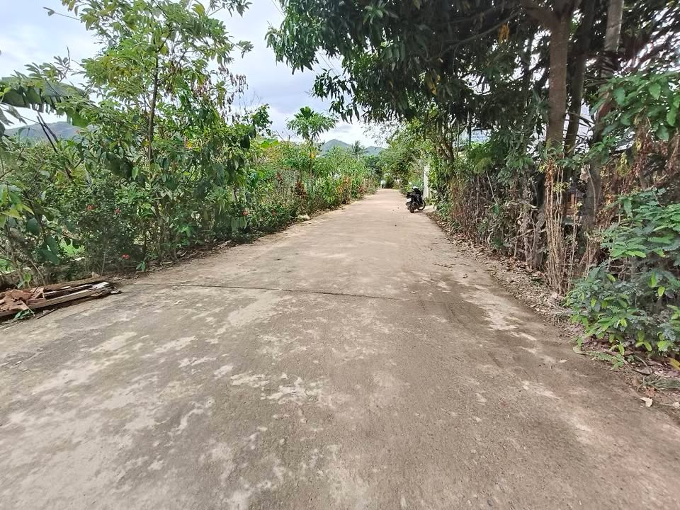 Đất thổ cư Diên An, Diên Khánh 105m² giá 1.95 tỷ - Đường ô tô thoải mái!