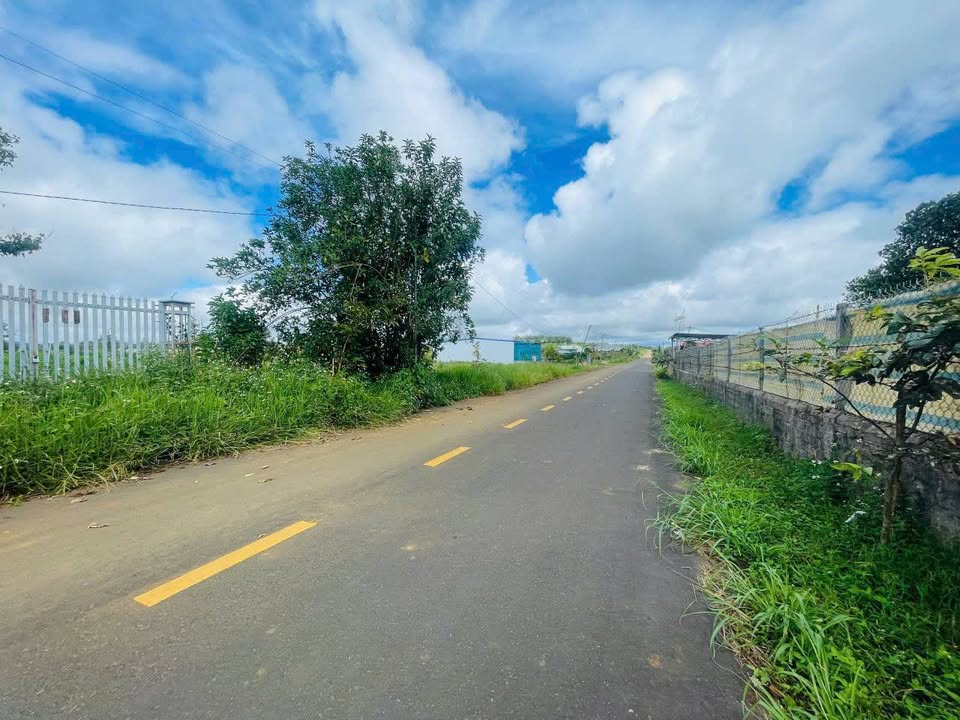 Đất nền Bảo Lộc 715m² giá 3.7 tỷ - Mặt tiền Nguyễn Trãi, view đẹp!