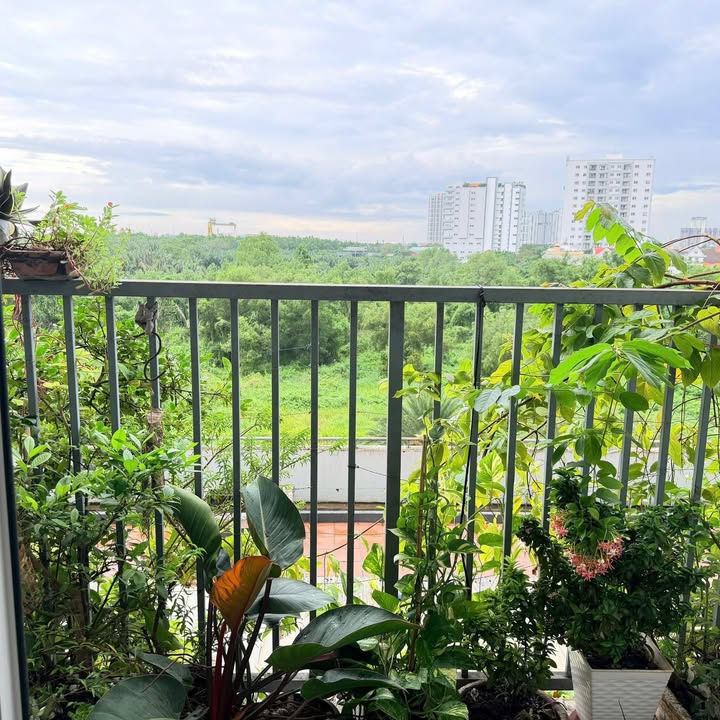 Căn hộ Jamona City Q7 73m² giá 3.3 tỷ - Sổ hồng trao tay, view cầu Phú Mỹ!