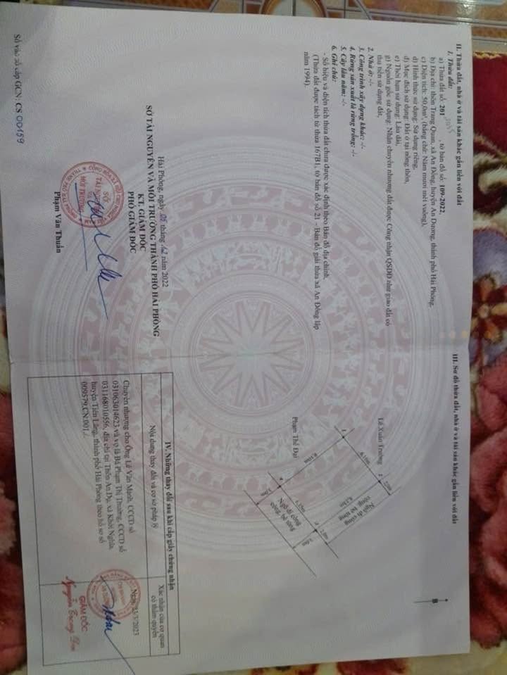 Đất nền Trang Quan, An Đồng, An Dương 50m² - Đầu tư sinh lời lý tưởng!