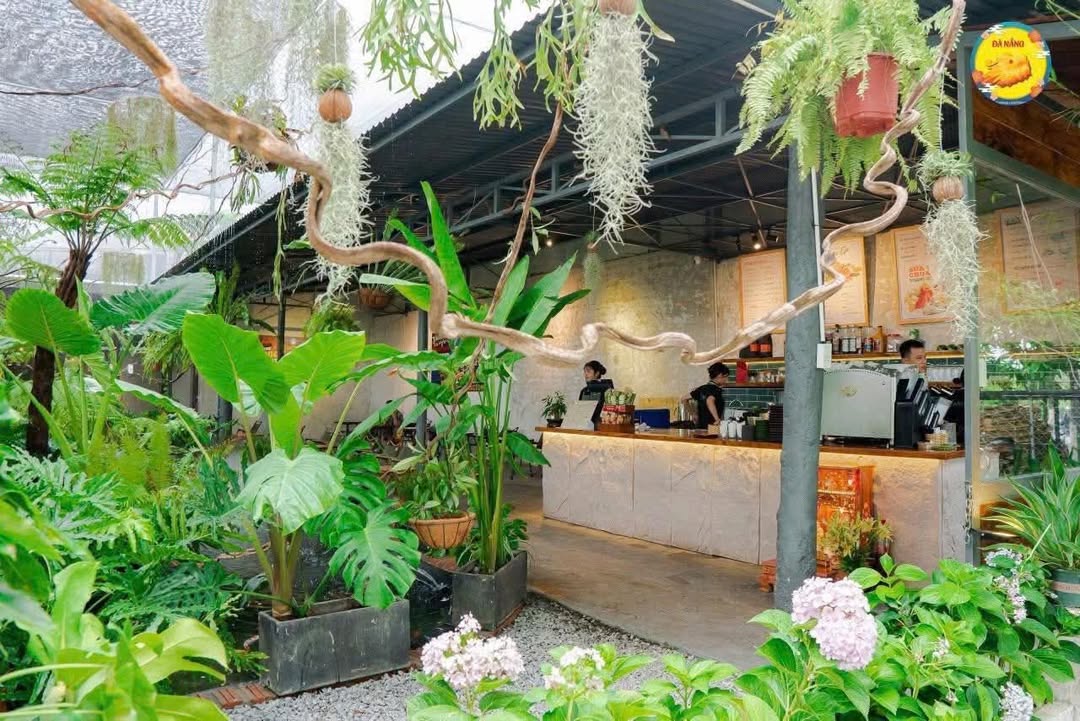 Sang nhượng mặt bằng cà phê sân vườn đường Thăng Long, Cẩm Lệ 300m² - Kinh doanh ngay với nội thất đầy đủ!