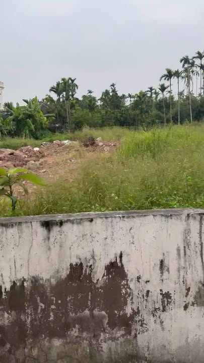 Đất nền xóm 1 xã Hải Đường 477m² giá 2.1 tỷ - Sổ đỏ chính chủ, pháp lý rõ ràng!