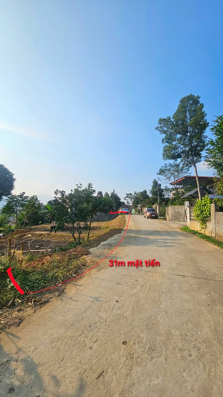 Đất nền Xuân Viên Yên Lập 1000m² giá chỉ vài trăm triệu - Sổ đỏ chính chủ!