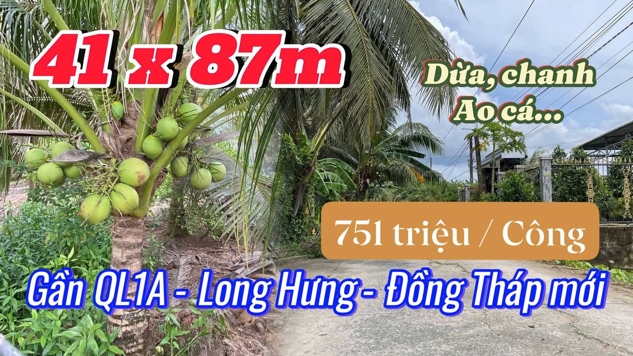 Đất thổ cư 2.660m² tại Long Hưng, Châu Thành - Giá chỉ 2 tỷ, cơ hội đầu tư tuyệt vời!