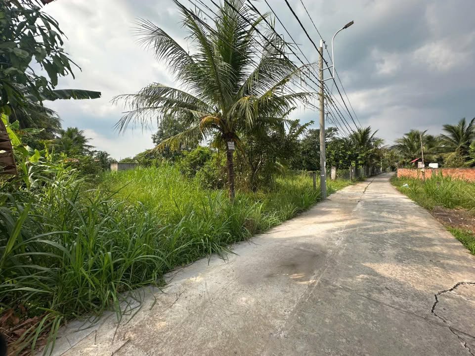 Lô đất đẹp phường Trung An 620m² giá 2.4 tỷ - Đầu tư sinh lời ổn định!