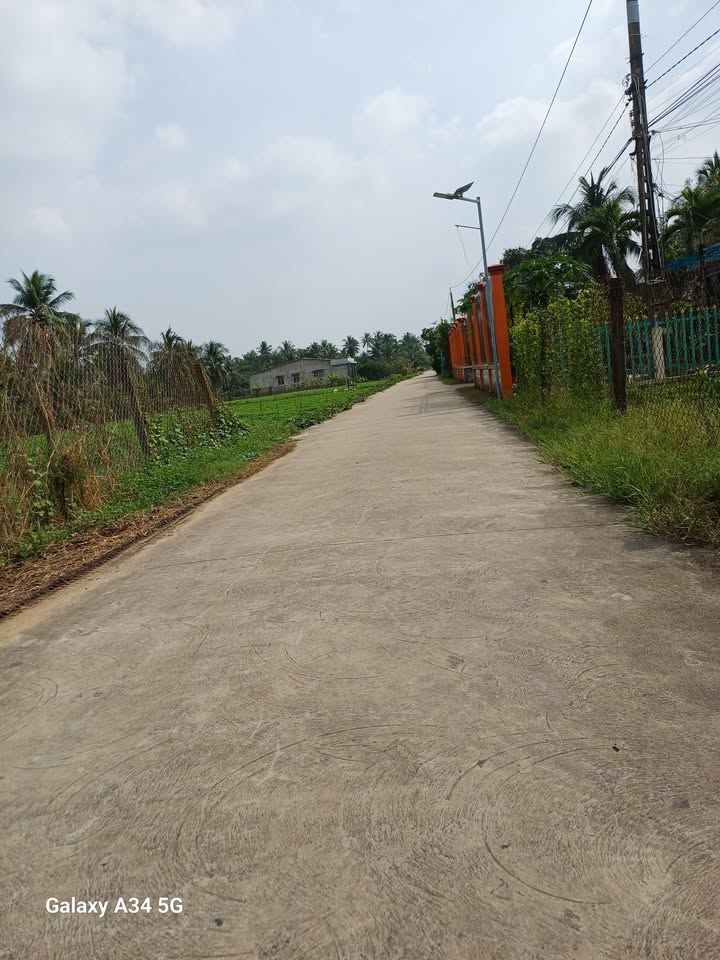 Đất nền Thạnh Phú, Châu Thành 1500m² giá 3 tỷ - Cơ hội đầu tư sinh lời!