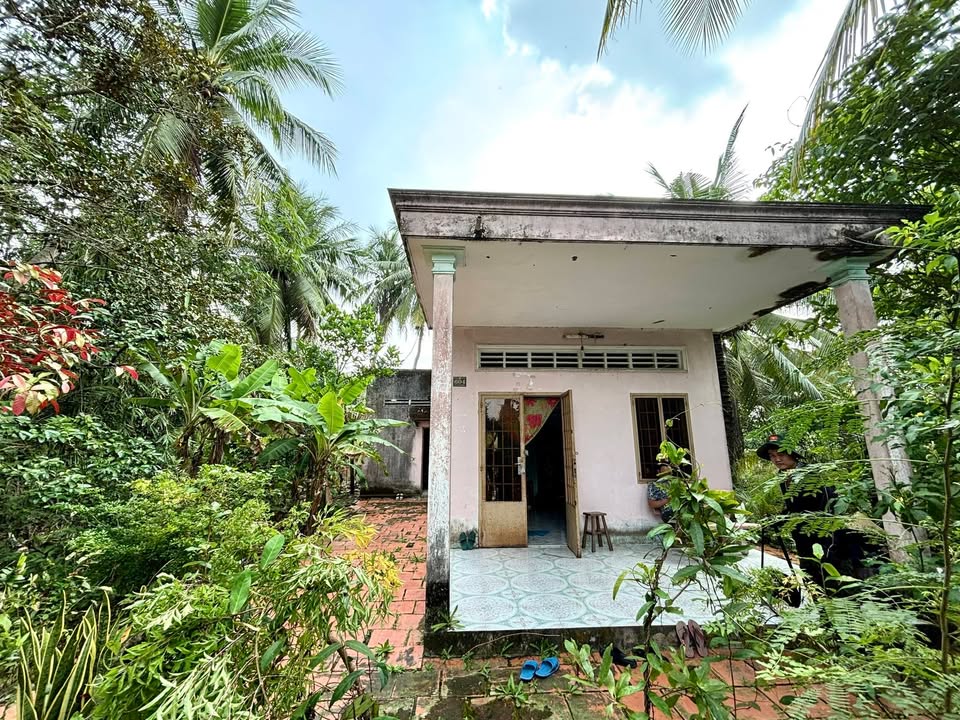 Nhà vườn 2011m² Thạnh Phú, Châu Thành, Tiền Giang - Giá chỉ 1.35 tỷ!