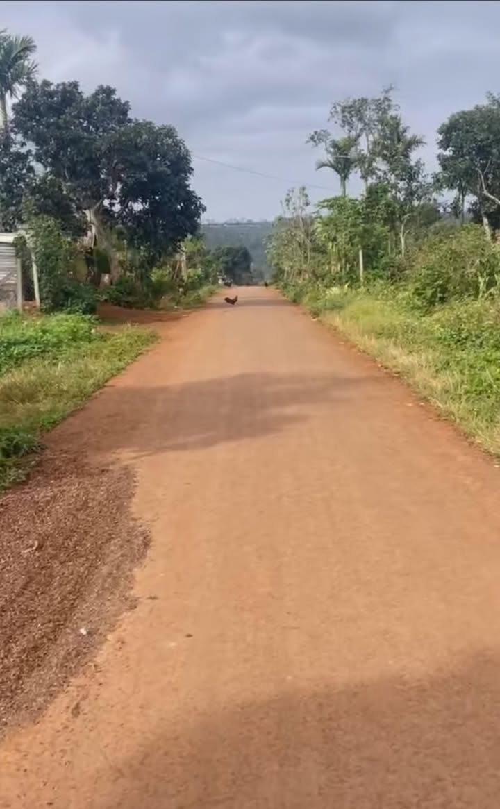 Đất nền Buôn Ma Thuột 185m² giá 8xx triệu - Đầu tư sinh lời ngay!