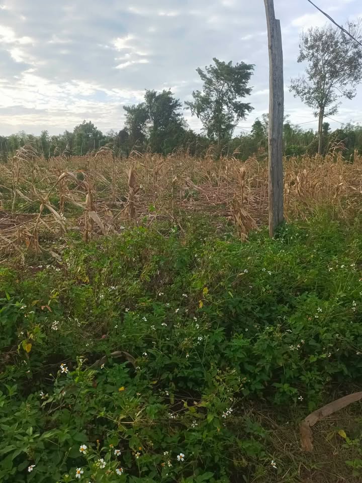 Đất thổ cư 100% tại Thôn 7, Ea Bar, 5760m² giá chỉ 850 triệu - Cơ hội đầu tư hấp dẫn!