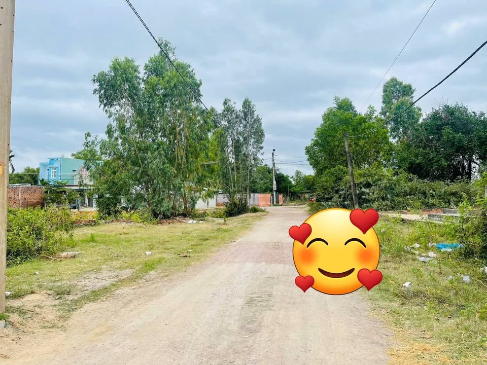 Nhà cấp 4 Phước Nghĩa, Tuy Phước 184m² giá 950 triệu - Sở hữu ngay với thủ tục đơn giản!