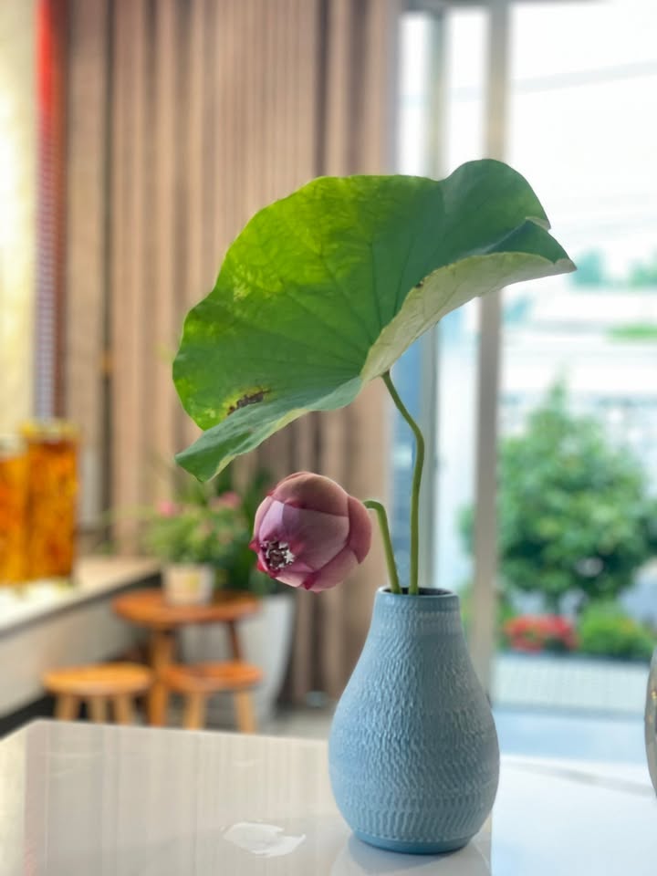 Đất nền Hòa Quý Đà Nẵng 122m² giá 7.7 tỷ - Sổ hồng chính chủ