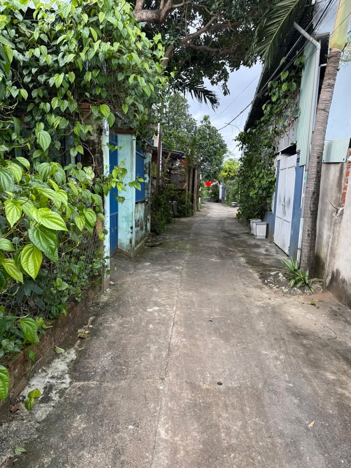 Đất nền đường Trường Sơn, quận Cẩm Lệ, 100m² giá 1.95 tỷ - Cơ hội đầu tư hấp dẫn!