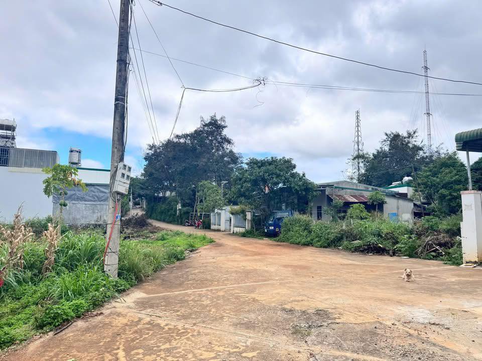 Đất nền Tân Hòa, Buôn Ma Thuột 128m² giá 1.33 tỷ - Vị trí đẹp, pháp lý rõ ràng!