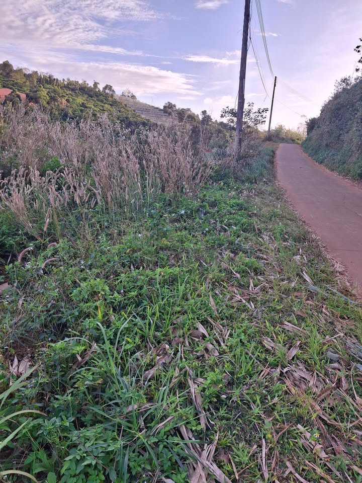 Đất nền Nam Bình Đắk Song 500m² giá 450 triệu - Sổ đỏ chính chủ, cơ hội đầu tư tuyệt vời!