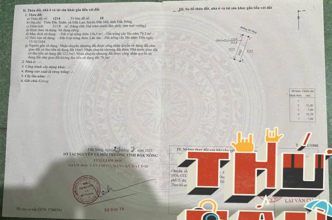 Đất nền thôn 1, Đắk Lao 217m² giá 217.7 triệu - Bán lỗ nhanh chóng!