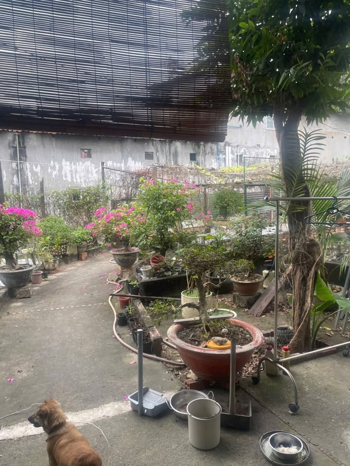 Nhà cho thuê tại Biên Hòa, Đồng Nai - 1 phòng ngủ, giá 3 triệu/tháng - Nội thất cơ bản, sẵn sàng ở ngay!