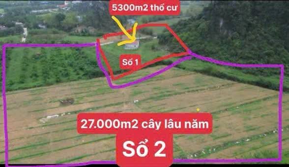 Đất thổ cư 13.525m² Phú Thành Lạc Thủy Hòa Bình - Cắt lỗ sâu, giá sốc!