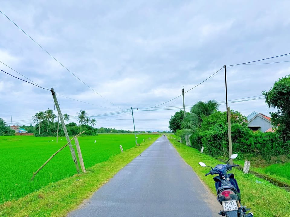 Đất lúa 2490m² tại Vạn Ninh giá chỉ 300 triệu - Bám đường nhựa, cơ hội đầu tư hấp dẫn!