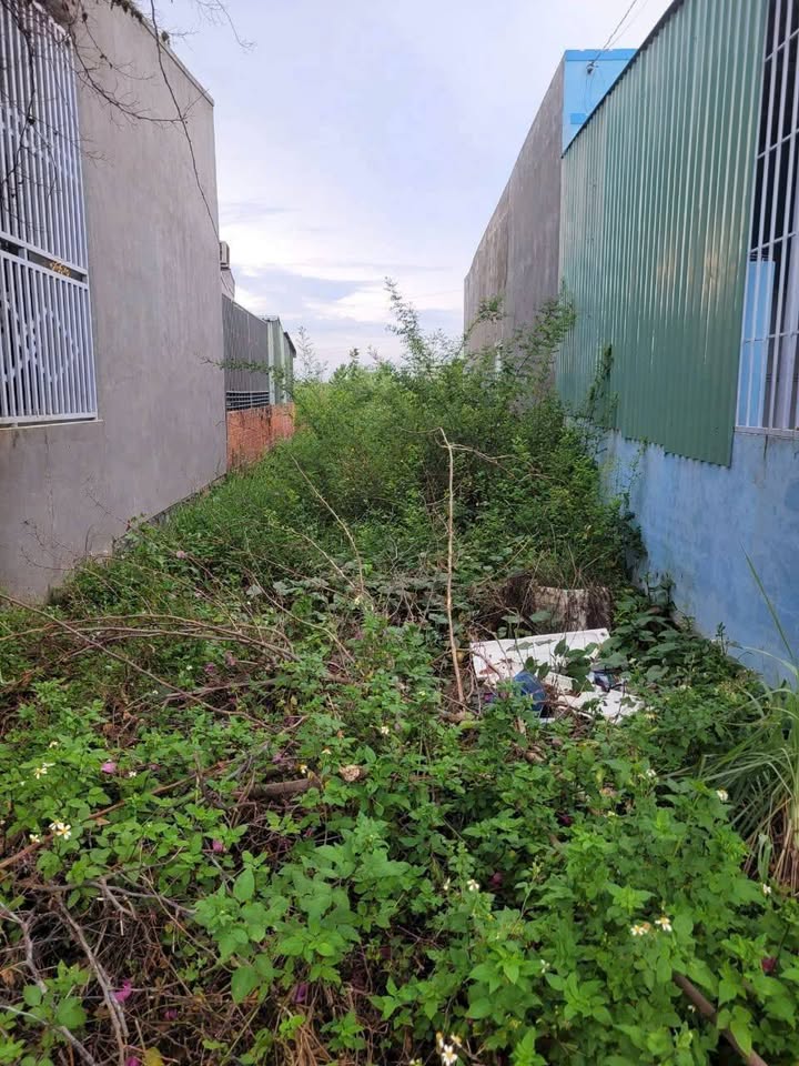 Đất thổ cư Phong Nẫm - Phan Thiết 107m² giá 690 triệu - Vị trí đắc địa, tiện ích đầy đủ!