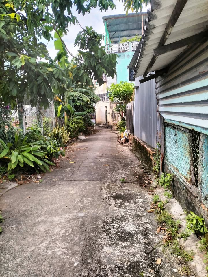 Đất nền hẻm 19 Võ Thị Sáu, Bạc Liêu 78m² giá 700 triệu - Nhanh tay sở hữu!