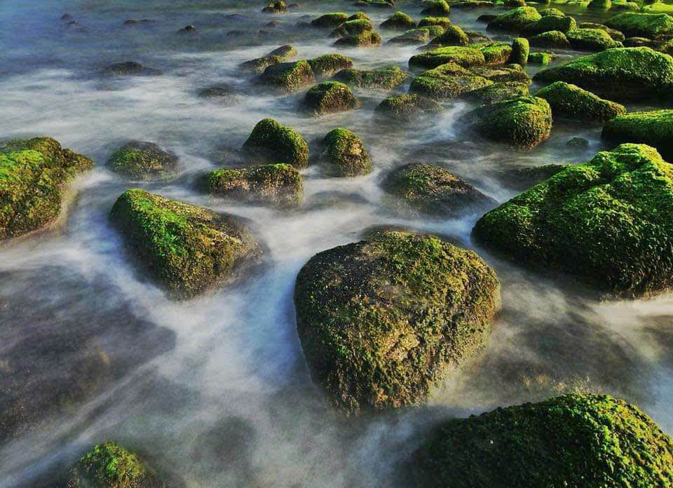 Nhà cấp 4 Kiệt 884 Nguyễn Lương Bằng 80m² giá 2 tỷ - Ô tô vào tận nhà!