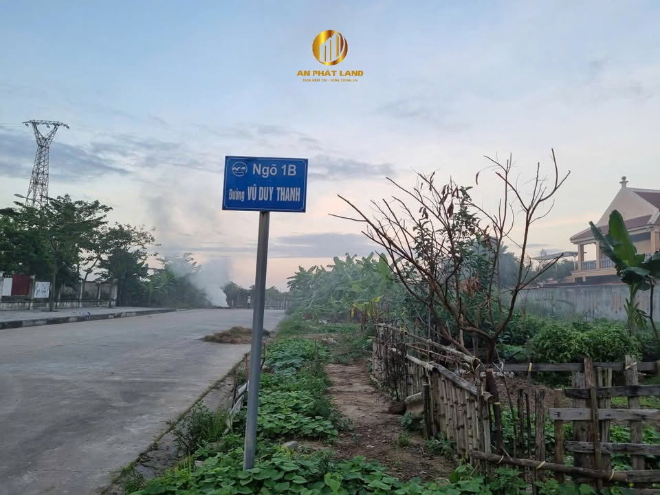 Bán đất phân lô Bích Đào - 120m² giá 5 tỷ - Đầu tư sinh lời cao!