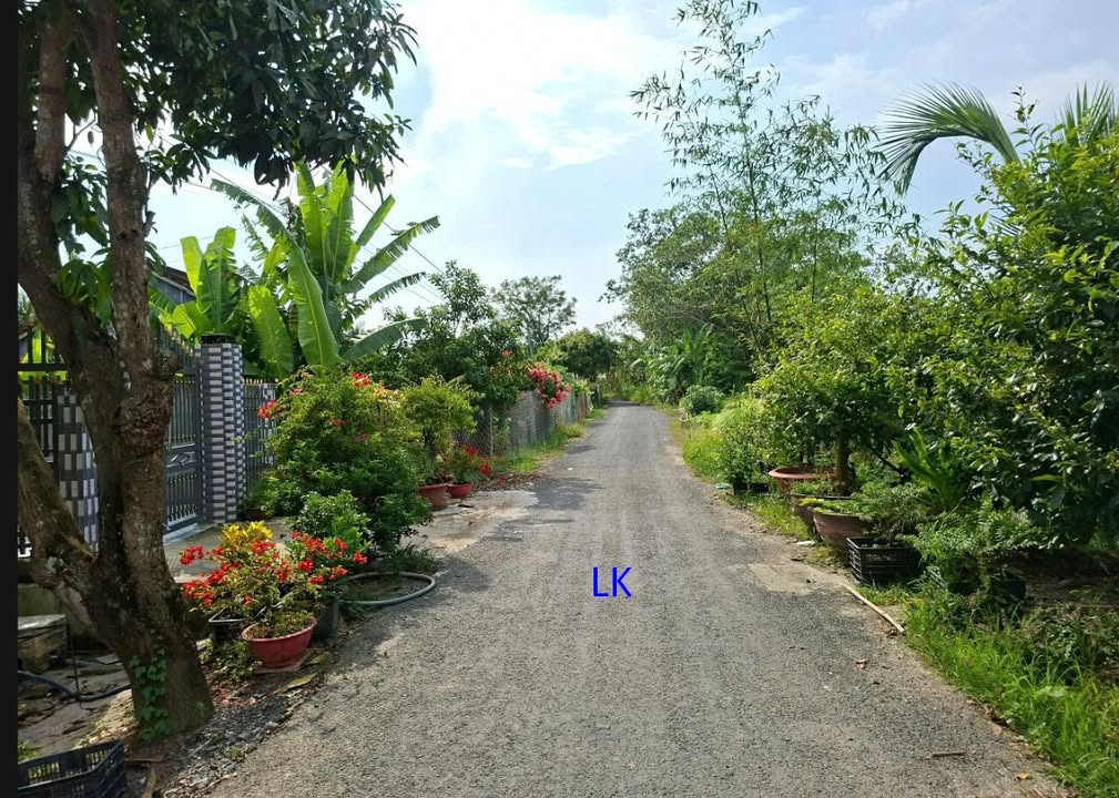 Đất vườn xoài 3400m² tại Cao Lãnh - Giá 3 tỷ thương lượng, cơ hội đầu tư tuyệt vời!