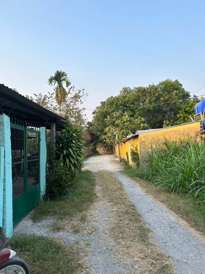 Nhà cấp 4 Đức Hòa 98m² giá 780 triệu - Cơ hội sở hữu giá rẻ!