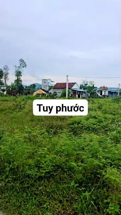 Đất nền Phước An Tuy Phước 115m² giá 500 triệu - Đầu tư lâu dài lý tưởng!