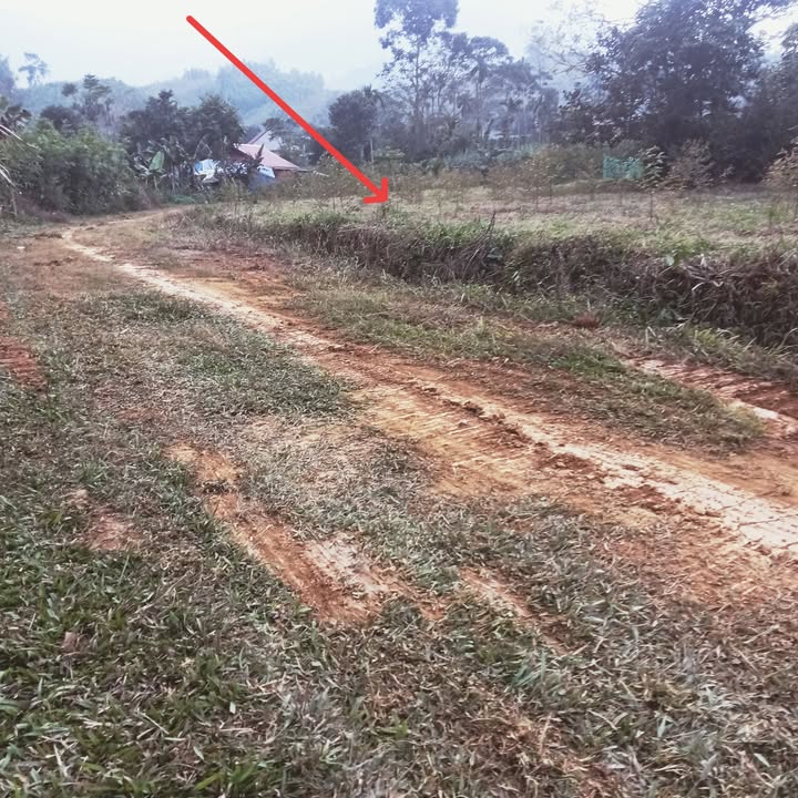 Đất thổ cư xã Thạch Tượng, huyện Thạch Thành, Thanh Hóa 700m² giá 265 triệu - Pháp lý rõ ràng, sẵn sàng giao dịch!