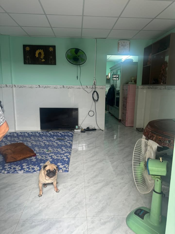 Nhà riêng Hóc Môn 36m² giá 1 tỷ - Cần bán gấp chính chủ!